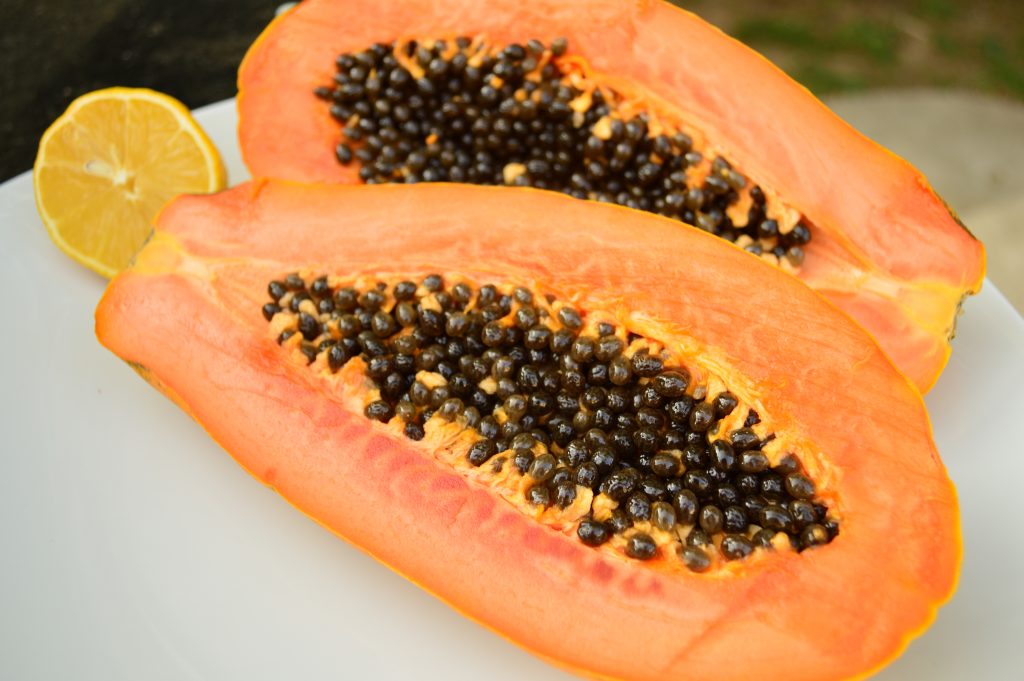 maradol papaya seeds