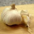 Bulb Garlic Seeds